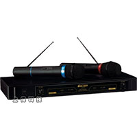 YT-929 inpro VHF 双频无线麦克风系统-sunwe广播音响