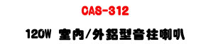 CAS-312 120W �Ǥ�/�~�T�����W��z�U�T�s�c��Ͻu�ʬW���]�p�U�W�����