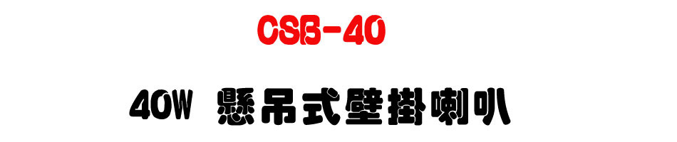 CSB-40 40W �a�Q��������z-�W�����www.sunwe.com.tw