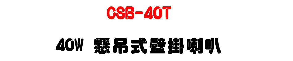 CSB-40T 40W �a�Q��������z-�W�����www.sunwe.com.tw