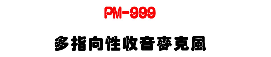 PM-999 �h���V�ʦ������J��-�W�����www.sunwe.com.tw