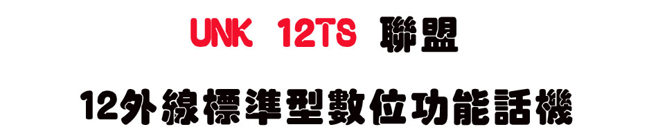 UNK 12TS �p��12�~�u�зǫ��Ʀ�\��ܾ�-sunwe�W����޹q�H���q