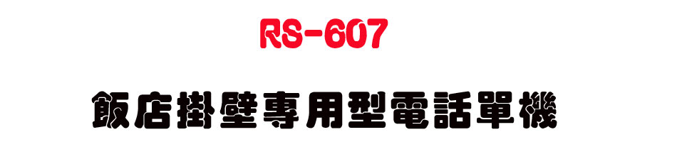 RS-607 ���������M�Ϋ��q�ܳ��-sunwe�W����޹q�H���q