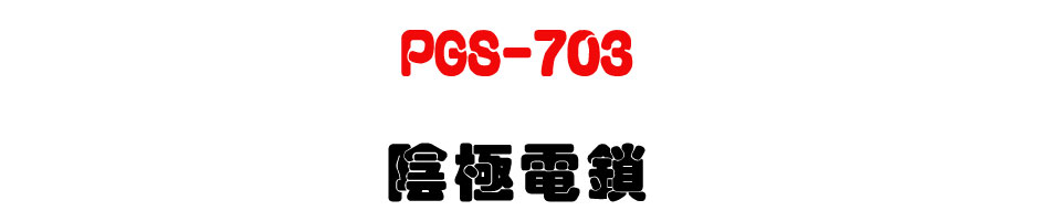 PGS-703 �����q�� (�f�t����׫���ީγ�z��A�e�q������)-�W�����www.sunwe.com.tw