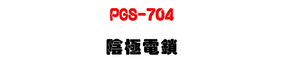 PGS-704 �����q�� (�f�t����׫���ީγ�z��A�_�q������)-�W�����www.sunwe.com.tw