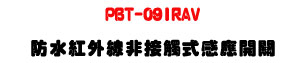 PBT-09IRAV �������~�u�D��Ĳ���P���}���U�N�X�����O�U�W�����