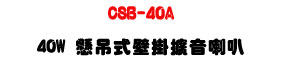 CSB-40A 40W �a�Q�������X����z�U�����{�ҫǤ��s���]�ơU�W�����