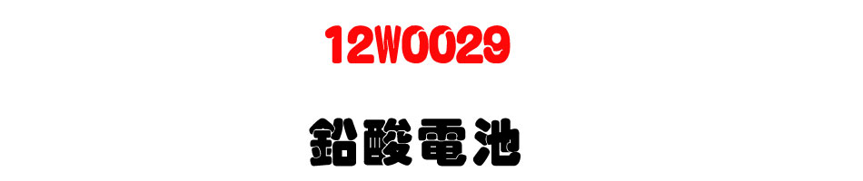 12W0029 鉛酸電池-上偉科技www.sunwe.com.tw